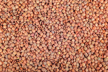 Grains of lentils as a background