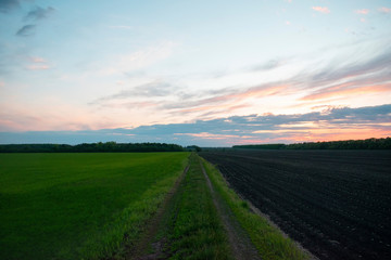 Green and black field, 2 opposites in nature