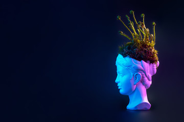 Young fern sprouts and moss in the head of the ancient statue. Concept on the theme of hairdressing and hairstyles. On a black background