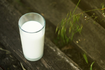 Glass of milk stand on wooden desks. Green meadow background. International milk day. 1 June. Fresh...