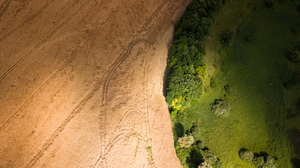 aerial view of yellow and green wheat fields. natural spring summer background. drone shot....