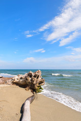 Corsican beach landscape