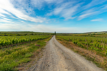 rural road in the field