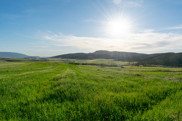 Obraz premium Beautiful scenic views of green fields and mountains in the background from The Aures mountains in Algeria