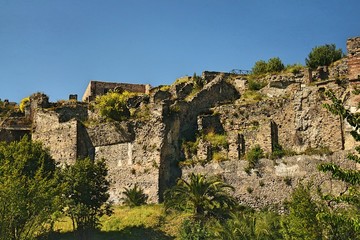 ruins of the castle