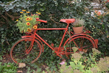 Fototapeta na wymiar Rotes Fahrrad mit Blumenschmuck
