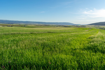 Beautiful scenic views of green fields and mountains in the background from The Aures mountains in Algeria