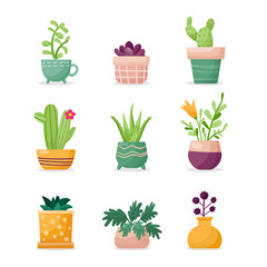 Green Plants in pots. Cartoon houseplants set. Aloe vera, succulent. cactus, flowers. Indoor home garden collection. Vector illustration.