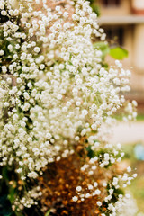 The wedding arch is decorated with small white flowers and flower arrangements of white flowers gypsophila. Wedding floristics.