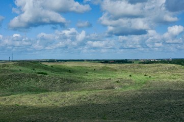 Fototapeta premium Texel island in Holland Kingdom of the Netherlands