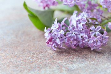 Purple lilac on rustic stone background. Close up.	