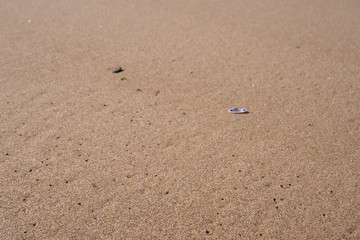 footprint in sand