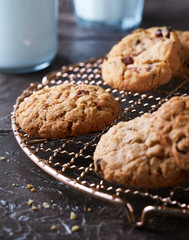 Fresh baked cookies on a golden cool rack. Glass of milk, milk bottle on black background