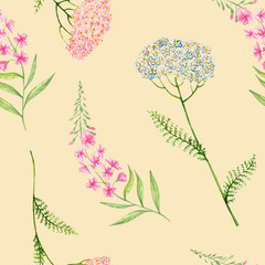 Pattern of wild flowers in watercolor