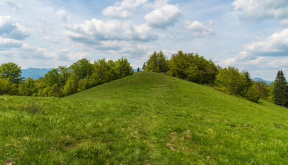 springtime mountain meadow with trees around and blue sky with clouds