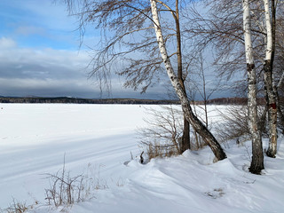 Russia, Chelyabinsk region. Birches on the shore of lake Uvildy in winter