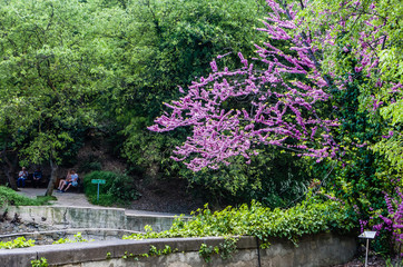 Scenic view on the beautiful landscape  in Tbilisi botanical garden, Tbilisi, Georgia