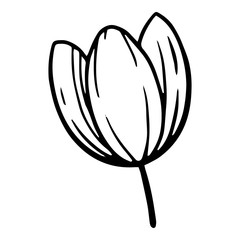 Garden summer tulip icon, hand drawn style