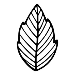 Fresh eco plant leaf icon, hand drawn style