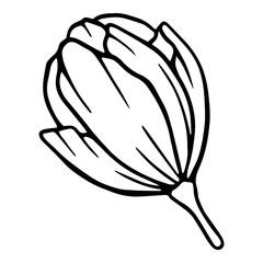 Ceremony blossom peony flower icon. Hand drawn illustration of ceremony blossom peony flower vector icon for web design