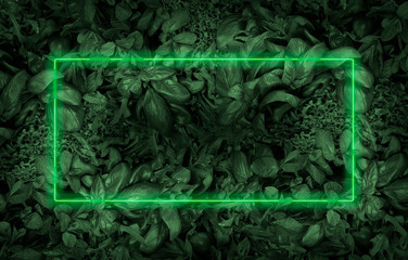 Fototapety  Glowing green neon frame on a leaves background. Copy space for text. Template for invitation, advertising, poster, banner, flyer. Spring summer color palette.