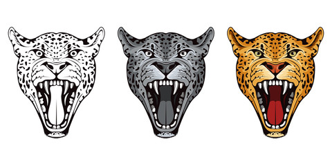 Set of head angry, leopard. Leopard. Predator animal. leopard mascot color logo. Animal tattoo. Angry animal sports mascot. Wild big cat. Natural. Logo animal for tattoo or t-shirt print © avtorpainter