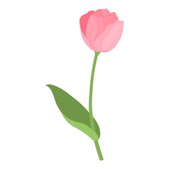Cute garden tulip flower icon. Cartoon of cute garden tulip flower vector icon for web design isolated on white background