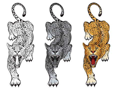 Set of angry, leopard. Stands leopard. Predator animal. Leopard mascot color logo. Animal tattoo. Angry animal sports mascot. Wild big cat. Natural. Logo animal for tattoo or t-shirt print
