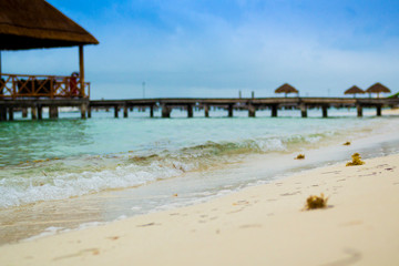 Isla Mujeres, tropical paradise