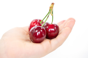 three ripe sweet cherries with drops of water on a children's hand © Andrey