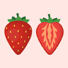 cute strawberry isolated on white background, vector illustration