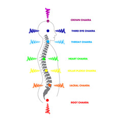 Man silhouette with active shining chakras isolated on the white background vector illustration