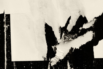 Grunge Textures Ripped Paper