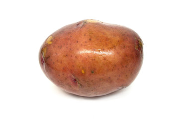 Potato isolated on white background