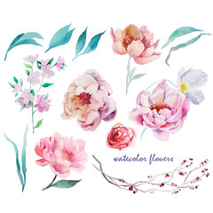 Watercolor set. Delicate pink tones. Floral design elements. Isolate. Peonies, leaves, twigs