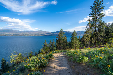 A beautiful Hiking trail overlooking Okanagan lake from Kalamoir Regional Park