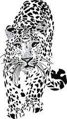 leopard T shirt print graphic design © DeepPurple