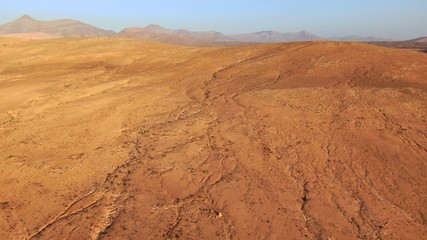Fototapeta na wymiar vegetation in a desert place