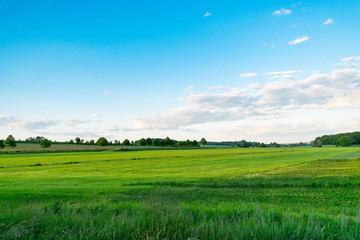Obraz premium Ein grünes Feld und ein blauer Himmel mit Wolken.