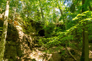 Obraz premium Die Schwarzachschlucht zwischen Feucht und Schwarzenbruck in der Nähe von Nürnberg bietet einen schönen Wanderweg. Die Wände und Säulen aus Sandstein sind charakteristisch für die Region um Nürnberg.