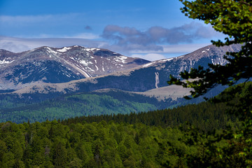 Fototapeta na wymiar Mountains in the early summer