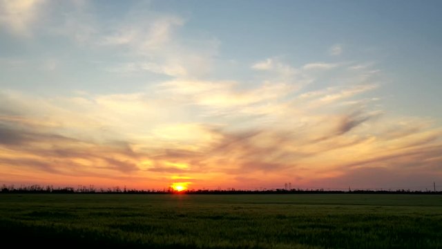 Beautiful view of wheat field at sunset. Time-lapse photography