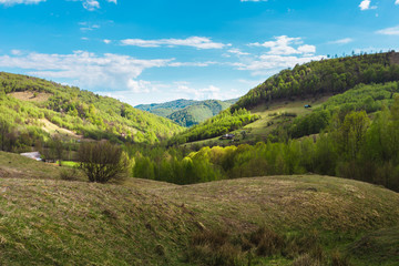 Fototapeta na wymiar Simple rural landscape on the hills in Romania