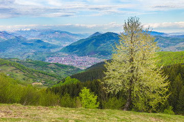 Fototapeta na wymiar Simple rural landscape on the hills in Romania