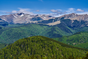 Mountains in the early summer