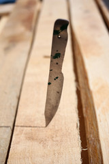 A sharp steel blade thrusts into a plank.