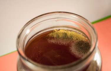 Colonies of microorganisms. Mold on compote. Macro shot. Water drop on gray, yellow mold. Mold drinks water