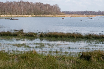 Naturschutzgebiet Zwillbrocker Venn