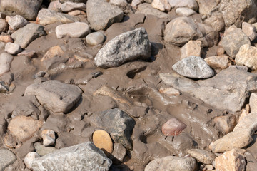 Mud And Stones