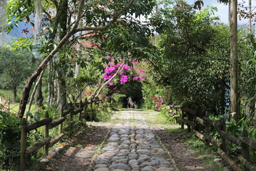 way